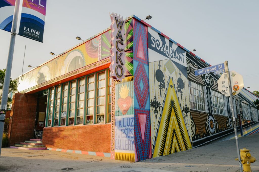 Book Signing with CJ Cook, Soap Plant, Los Angeles, CA
