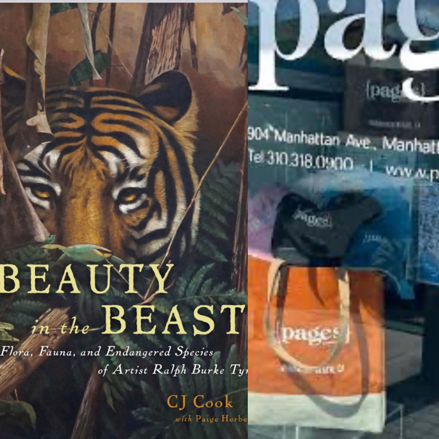 Book Signing, Pages, Bookstore, Manhattan Beach, CA South Pacific Dreams