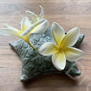 Starfish Vase