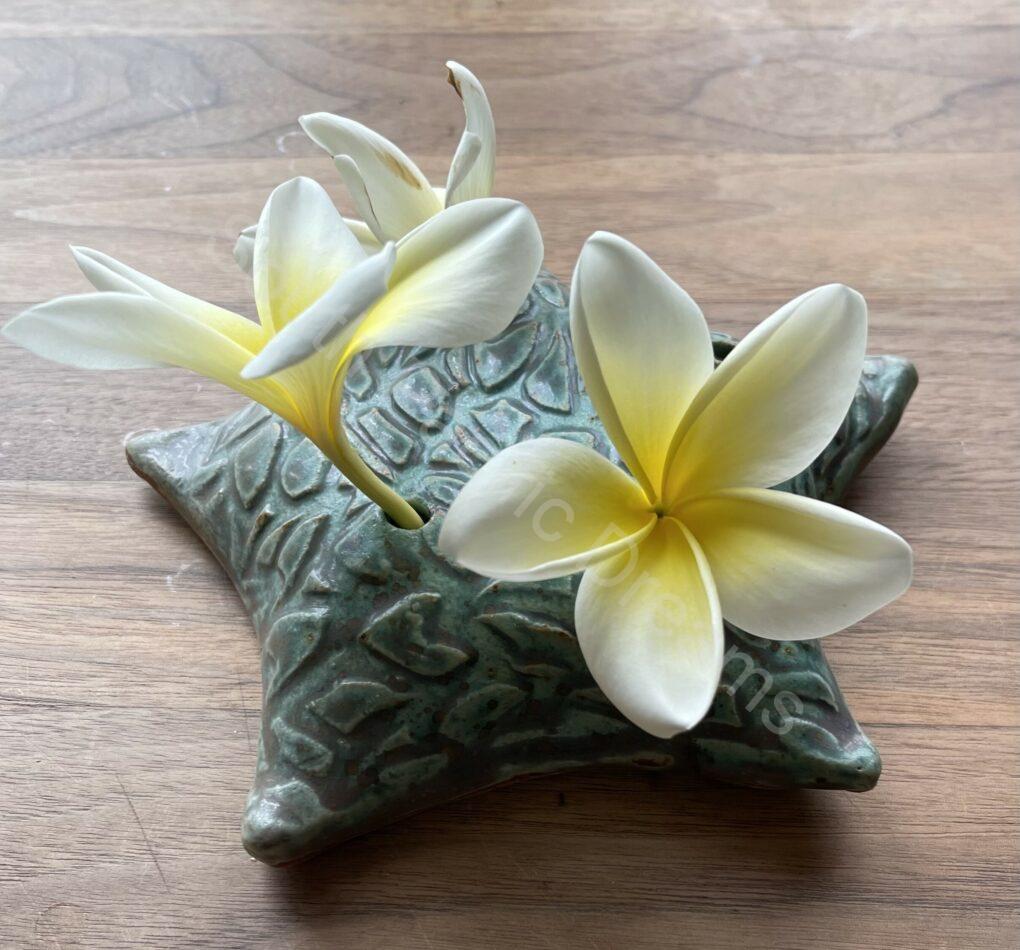 Starfish Vase